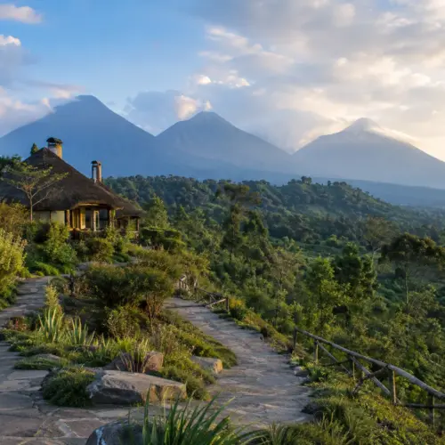rwanda-volcanoes-national-park-lodge-misty-peaks